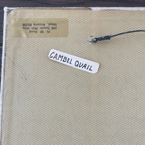 MCM Quail Wood‎ Cutout Art Bird - Picture 14 of 16